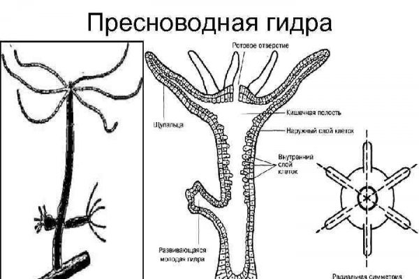 Кракен онион ссылка на тор